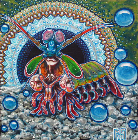 King Prawn (Peacock Mantis Shrimp), art - Michael Garfield Visionary Art (michaelgarfieldart.com)